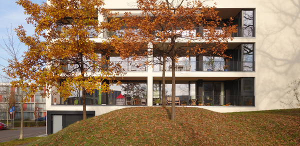 Haus cfs3